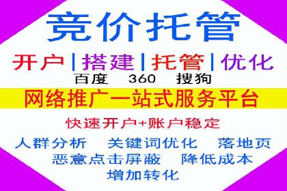 百度搜索推广实战：经典案例深度剖析